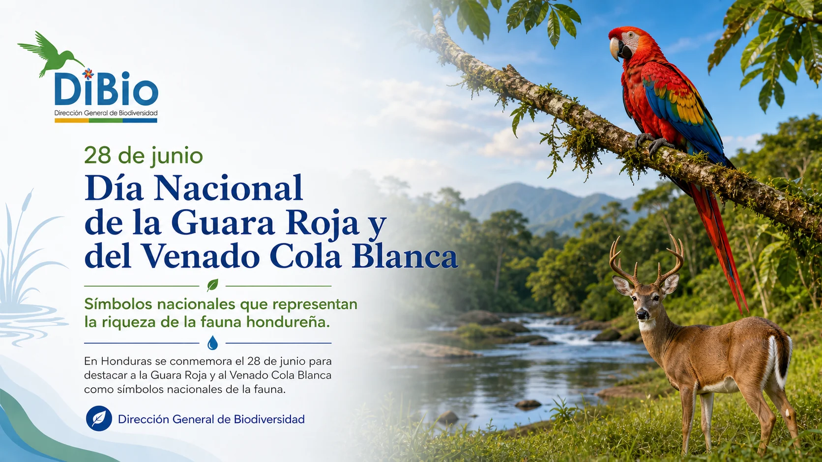 Día Nacional de la Guara Roja y del Venado Cola Blanca